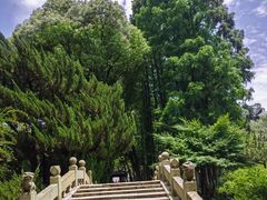 -上海醉白池公园