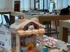 -Eziwish眼镜·蔡司授权店