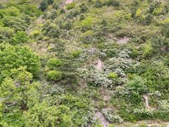 -天津盘山风景名胜区