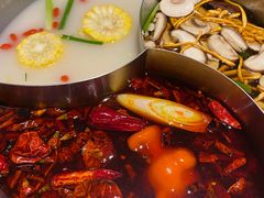 -青瓷火锅料理(西单大悦城店)