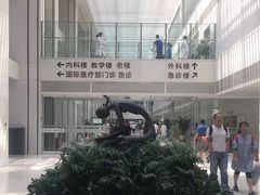 -北京协和医院(东单院区)