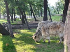 -秦皇岛野生动物园