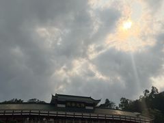 -三水森林公园