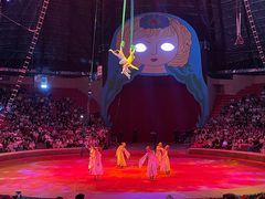 -俄罗斯国家大马戏团