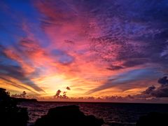 -Rock Bar Bali(Bali)