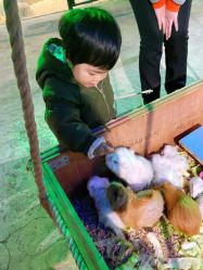 -酷嗒动物文化乐园(cutezoo西溪乐天城店)