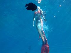 -瑞德姆美人鱼海底演艺主题餐厅(亚龙湾店)