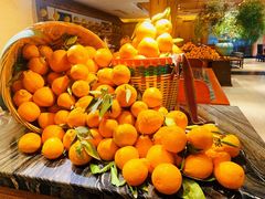 -南堂小馆·川菜馆(德商国际店)