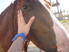 -松声马术俱乐部