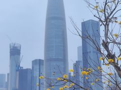 -深圳人才公园