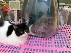 -沐沐家宠物(成寿寺店)