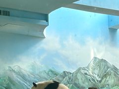-武汉动物园