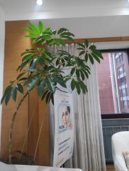 -HEYAN荷妍专业脱毛连锁机构