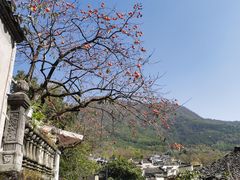 -塔川景区