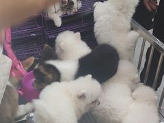 -野上麦田(中贸广场店)