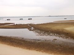 -北海金海湾红树林生态旅游区