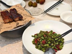 -大树餐厅(大悦城店)