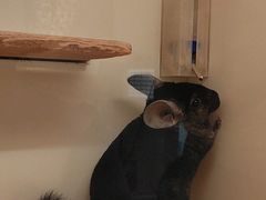 -龙猫仔乐园(惠福东路店)