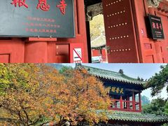 -报恩寺(平武县)