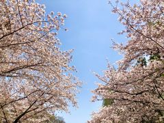 -南京城墙景区