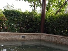 -思念果岭悦温泉