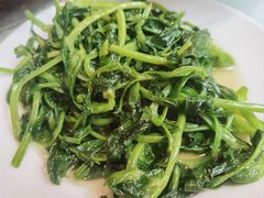 -圣厨牛腩(青春岛社区玉寿苑店)