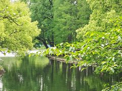 -上海共青森林公园