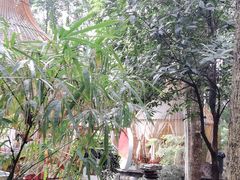 -二荆条·蜀鲜汇城市森林火锅