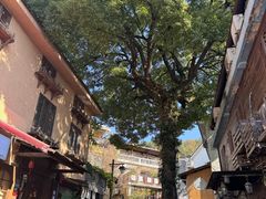 -杭州西湖风景名胜区-满觉陇四眼井