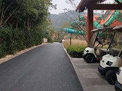 -杭州开元森泊度假乐园