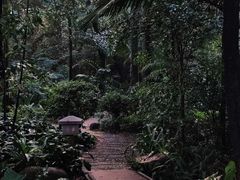 -广州兰圃