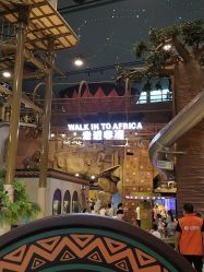 -卡通尼·Safari非洲探索乐园·生日会(金桥国际商业广场店)