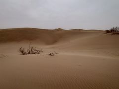 -亿利库布其七星湖沙漠生态旅游区