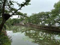 -无锡蠡湖国家湿地公园-蠡园