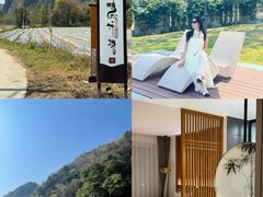 -银峰农庄·特色烧鸡·鲜无花果浸鸡