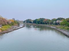 -海珠湖公园