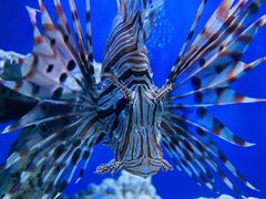 -太平洋海底世界