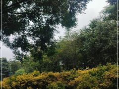 -昆明植物园