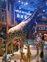 -鲁比猴非洲探索部落(喜盈门店)
