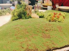 -王记姚家味·地道苏帮菜(凤凰街店)