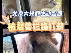 -北京野生动物园