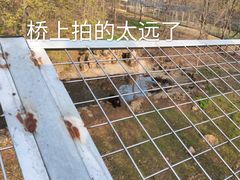 -合肥野生动物园