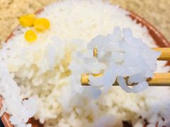 -巴渝菜馆(涿州店)