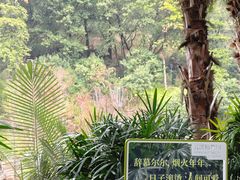 -云溪植物园