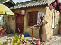 -合肥滨湖国家森林公园