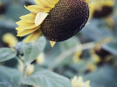 -艾溪湖湿地公园