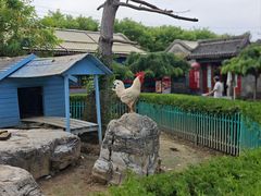 -有喜胶东小馆(太申祥和店)