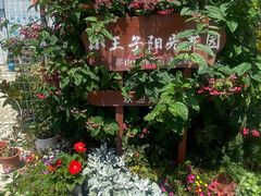 -万顷园艺世界