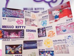 -北京时代美术馆-Hello Kitty Cosmos 光影特展-北京站