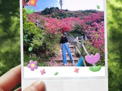 -木兰云雾山